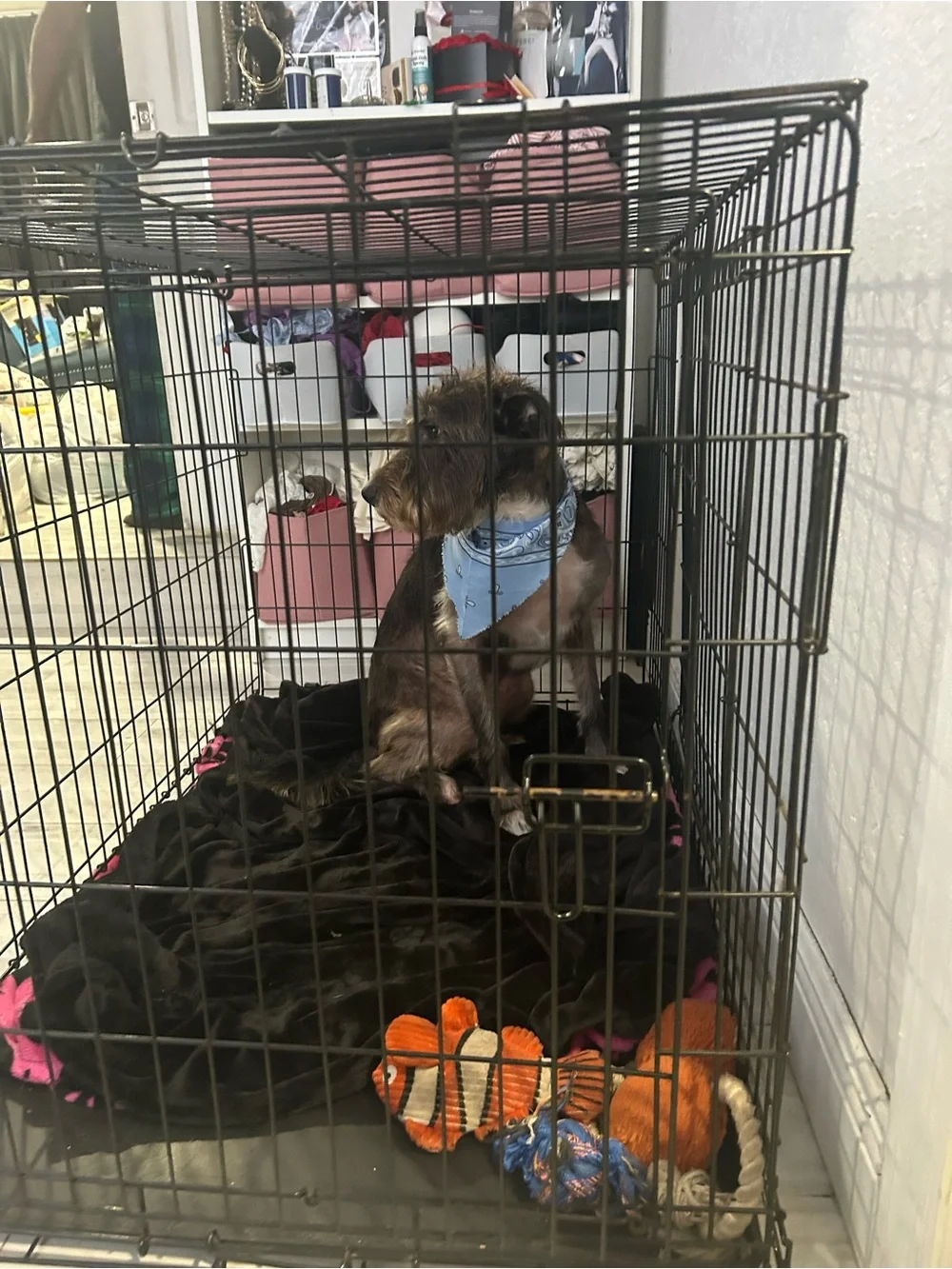 42 inch portable dog cage.